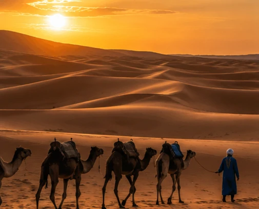 Agafay Desert Day Trip in Marrakech