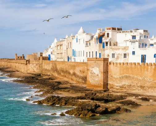 Essaouira Day Trip in Marrakech